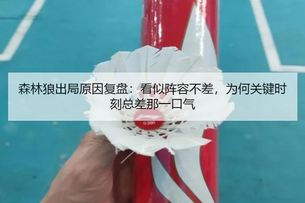 森林狼出局原因复盘：看似阵容不差，为何关键时刻总差那一口气